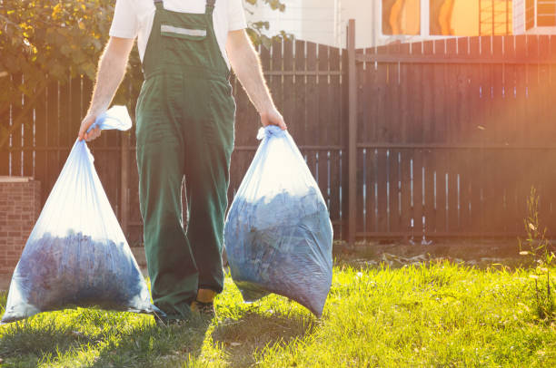 Best Same-Day Junk Removal Services  in Afton, MN